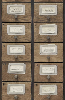 Tapeta Mind The Gap WP20264 APOTHECARY NEUTRAL