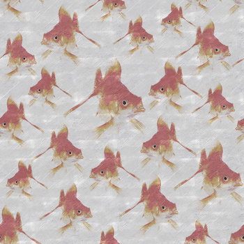 479_005 – fototapeta Pesci Rossi Taplab