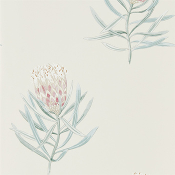 216330 – tapeta Protea Flower Porcelain/Blush Art Of The Garden Sanderson