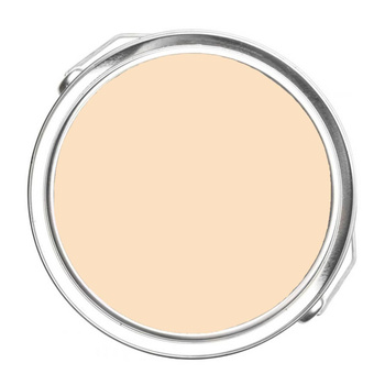 120 - Delicate Peach Benjamin Moore