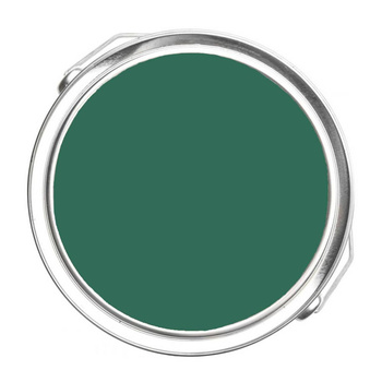 595 - Deep Jungle Benjamin Moore