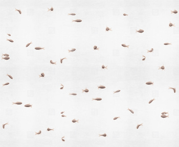 18511-04 – fototapeta Pesci Rossi LondonArt