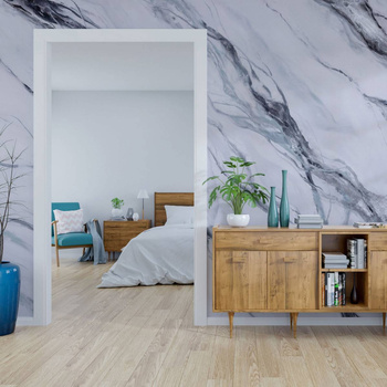 Silvering - Tapeta w standaryzowanych rolkach WallArt