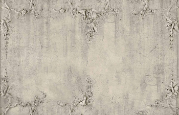 6800505 - panel Ceiling  Old Sepia Random Papers II Coordonne