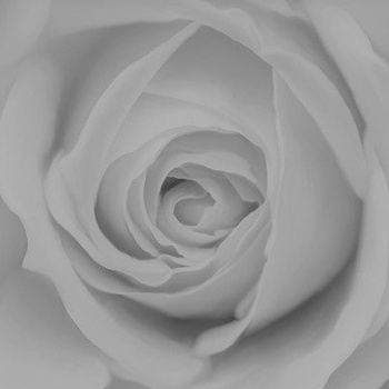 002_005 – fototapeta Taplab