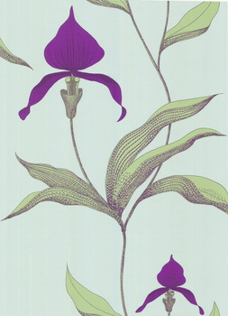 66/4027 – tapeta Orchid The Contemporary Selection Cole & Son