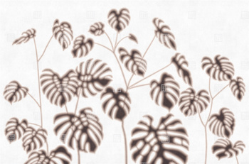 18510-03 – fototapeta Foglie Verdi LondonArt