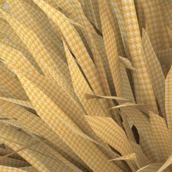 WDBR1702 – fototapeta Breeze Contemporary 2017 Wall & Deco