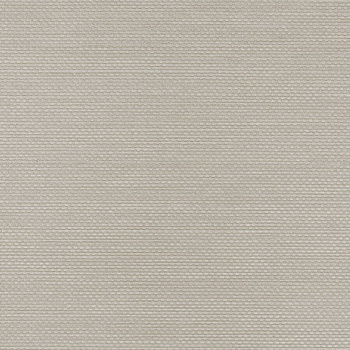 W47.423 – tapeta Ralph Vinylpex