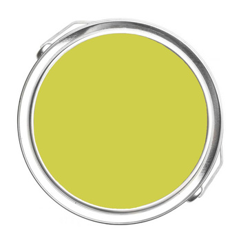 398 - Flower Power Benjamin Moore