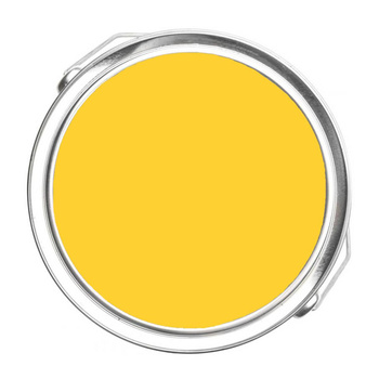 321 - Viking Yellow Benjamin Moore