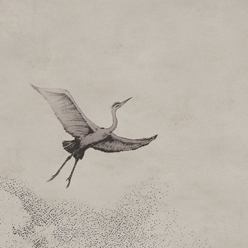 WET_LE1902 – fototapeta Learn to fly Wet System Wall&Deco