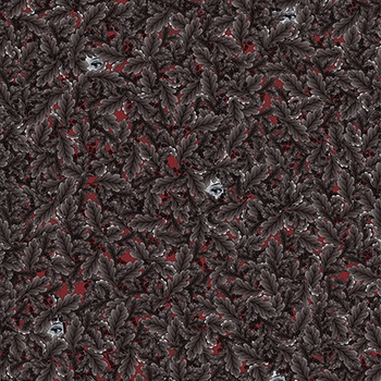 WDNG1703 – fototapeta Night Garden Contemporary 2017 Wall & Deco