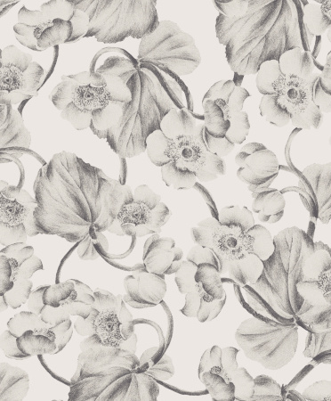 KEN301 - tapeta Anemone Kent Khroma – Khroma – zdjęcie produktu