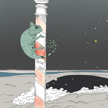 WDNH2002 – fototapeta Nature hints Contemporary 2020 Wall & Deco