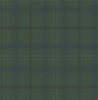 zielony