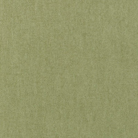 zielony