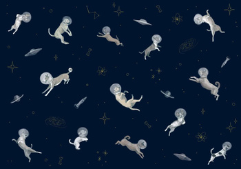 9700083 - panel Doggy Gravity Night Mies Coordonne