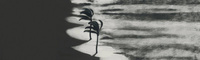 szary || czarny