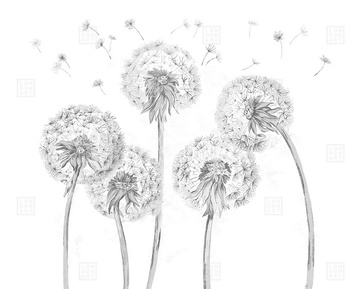 12SD-04 - fototapeta Snapdragons LondonArt