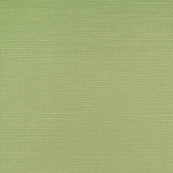 W58.172 – tapeta Kris Vinylpex