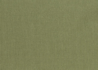 zielony