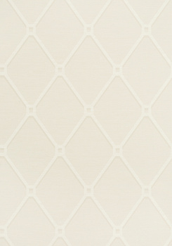 T4048 – tapeta Easom Trellis Surface Resource Thibaut