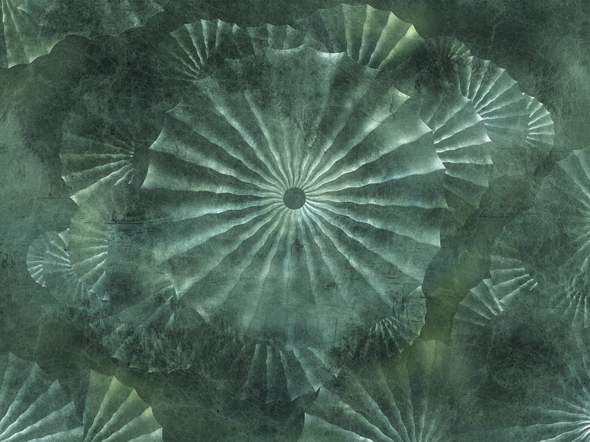 Fototapeta Orlanda 695 33 2202 WallCraft w odcieniach zieleni