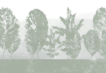 345_005 – fototapeta Taplab