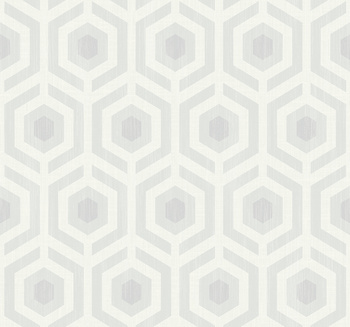 DG10408 - tapeta Hexagon Lattice Geometric Effects WallQuest