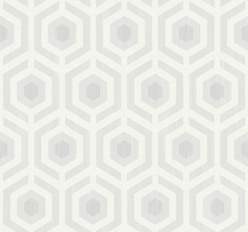 DG10408 - tapeta Hexagon Lattice Geometric Effects WallQuest