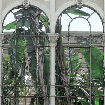 R16261 – fototapeta Dove Gardens Rebel Walls