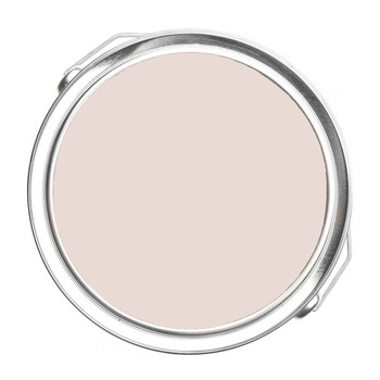 1240 - Wild Aster Benjamin Moore