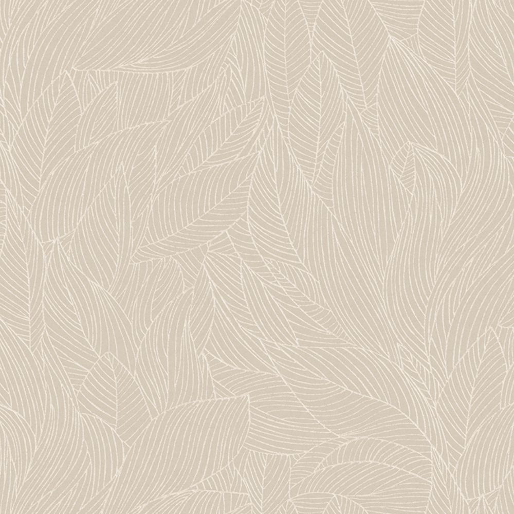 76602242 - Tapeta Hosta Jardin Felicia Casamance – Casamance – zdjęcie produktu