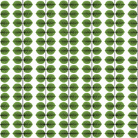 zielony