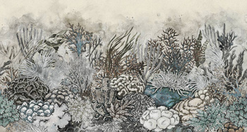 341_005 – fototapeta Coralli Taplab