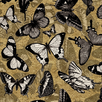 WDCM1501 – fototapeta Catch Me Contemporary 2015 Wall & Deco