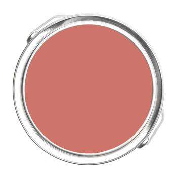 1298 - Coral Bronze Benjamin Moore