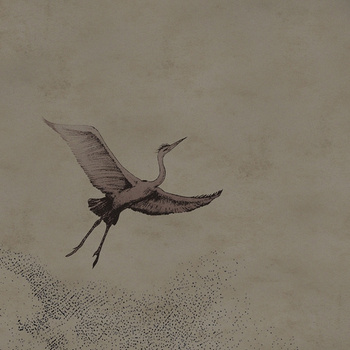 WET_LE1901 – fototapeta Learn to fly Wet System Wall&Deco