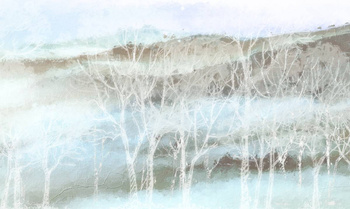 351_001 – fototapeta Taplab