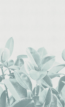 18056-03 – fototapeta Rubber Plant LondonArt