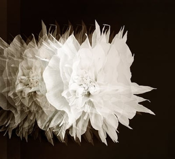 WDCI1501 – fototapeta Cinetica Contemporary 2015 Wall & Deco