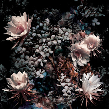 Tapeta Inkiostro Bianco – Elisir INKCSNF1902