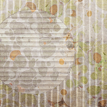 WDIR1702 – fototapeta Iride Contemporary 2017 Wall & Deco