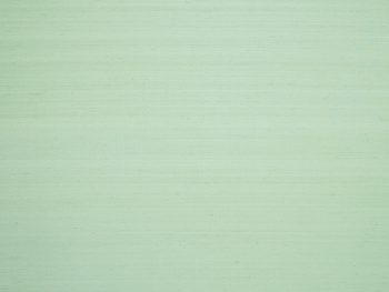 BP334019 – tapeta Shiva Pierre Frey