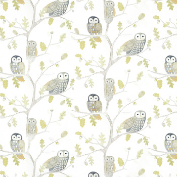 112627 - tapeta Little Owls Book Of Little Treasures Harlequin