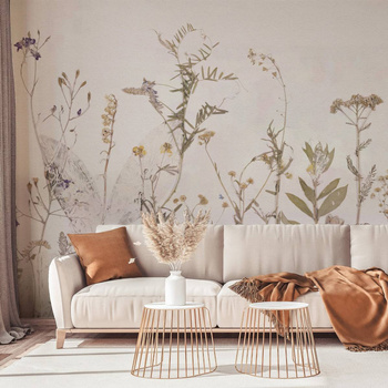 Campo di erbe - Fototapeta WallArt