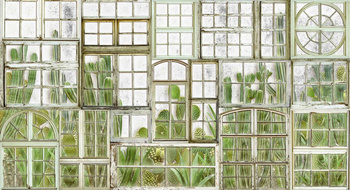 6800404 - panel Window Flora Fresh Random Papers II Coordonne