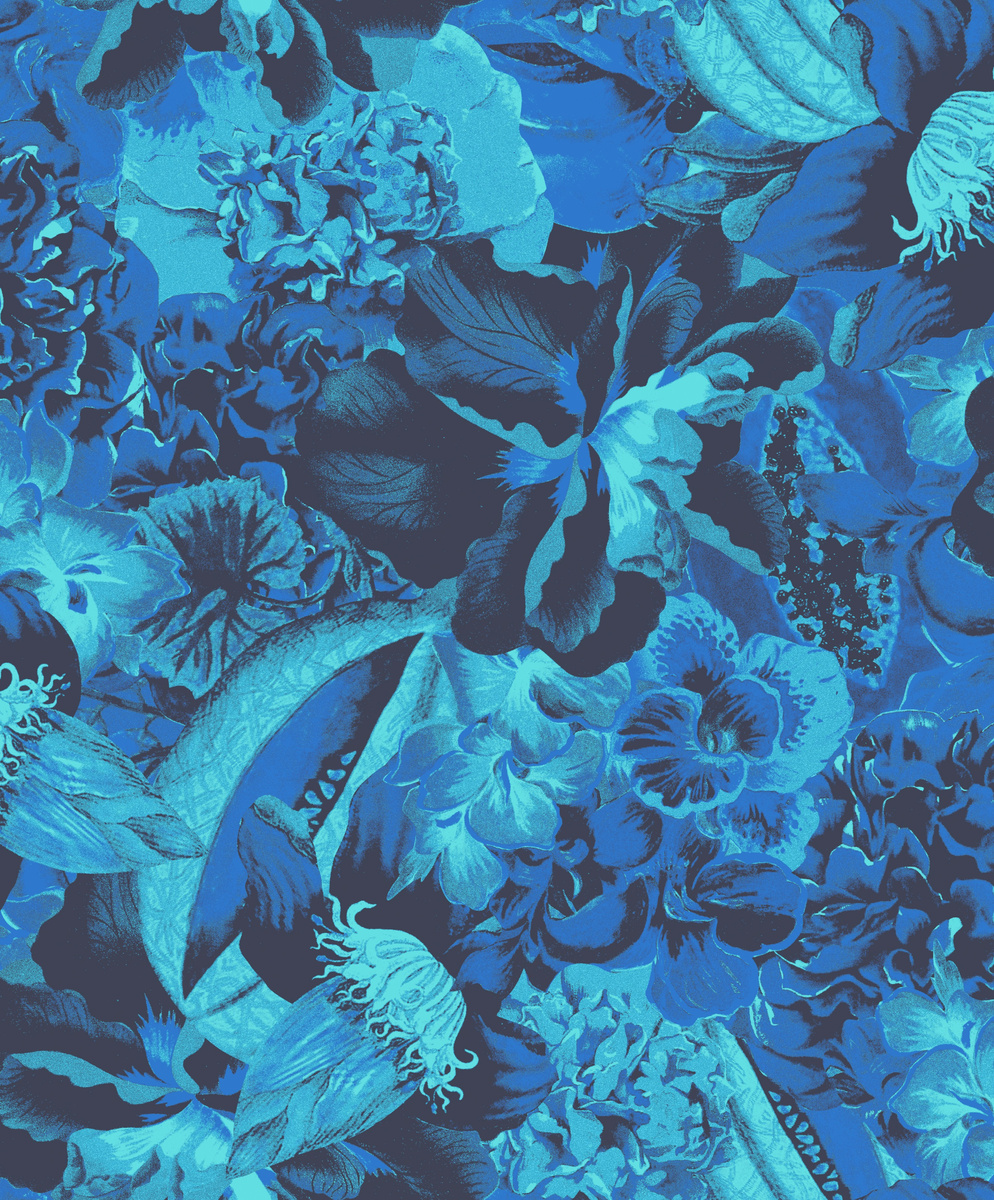 HAV902 – tapeta ścienna Frida Havana Khroma – Khroma – zdjęcie produktu