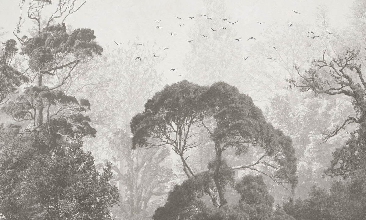 mural RAUV las deszczowy czarno-biały na wymiar do korytarza lub sypialni